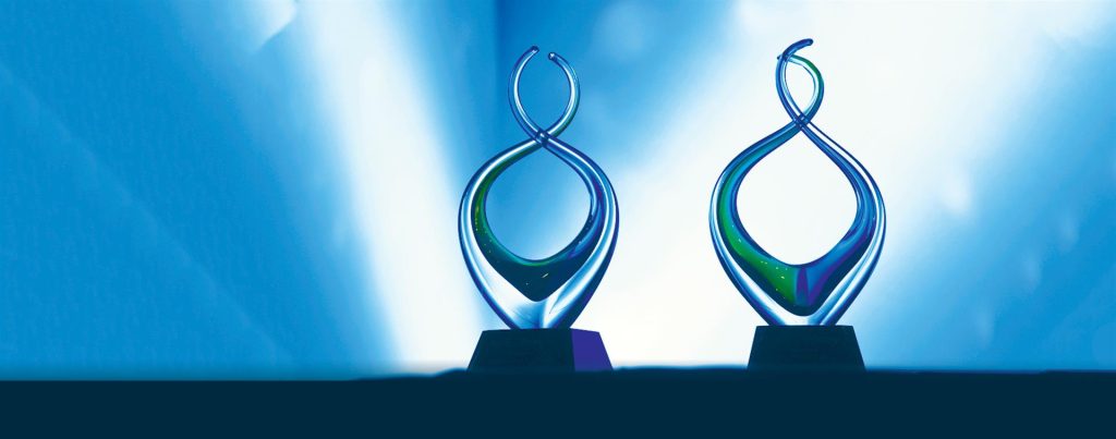 What are the different types of custom award options?